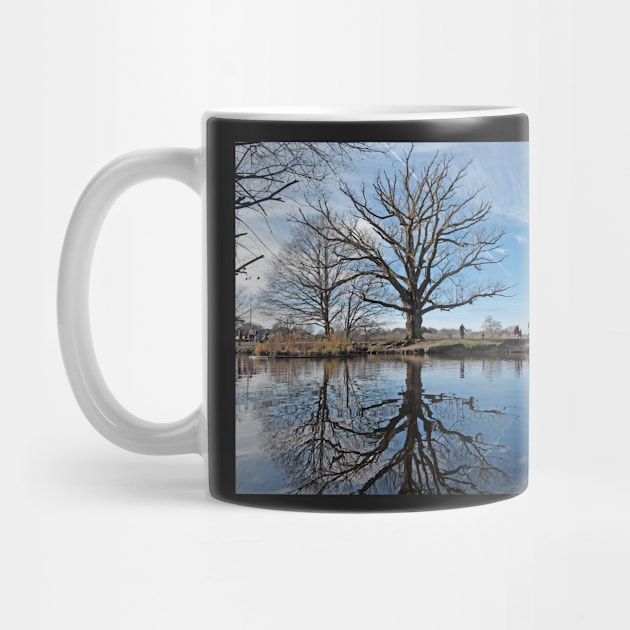 Reflections of trees in water by fantastic-designs